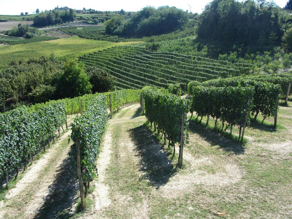 Agriturismo Costa Catterina Castagnito Exterior foto